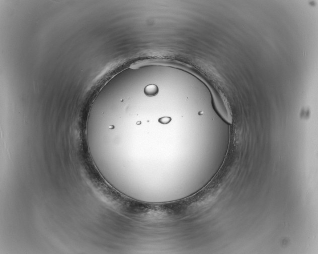 X0000093600256200710291150