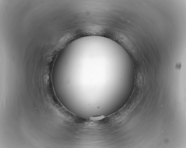 X0000093600259200710291150