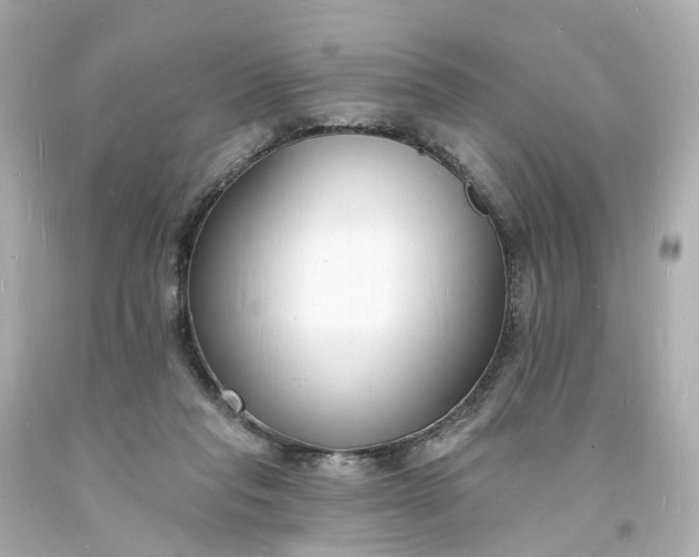 X0000093600261200710291150