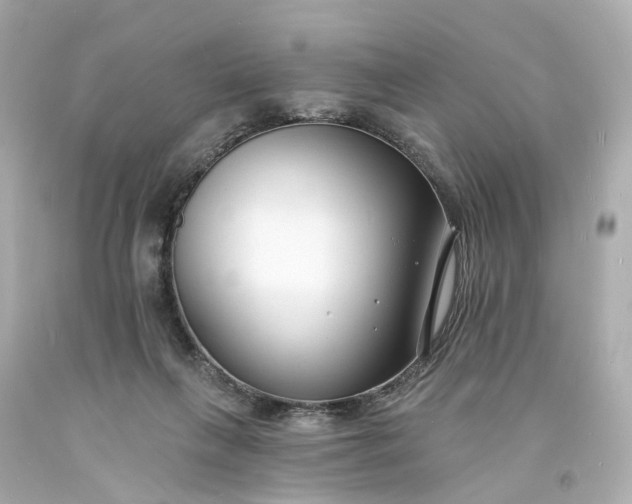 X0000093600263200710291150