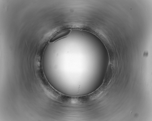 X0000093600264200710291150