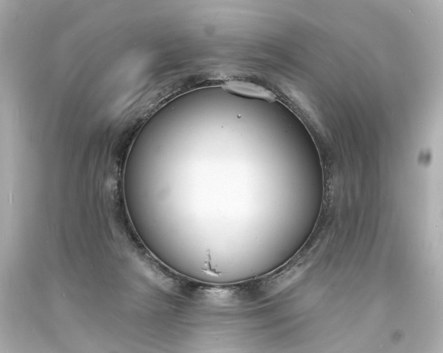 X0000093600265200710291150