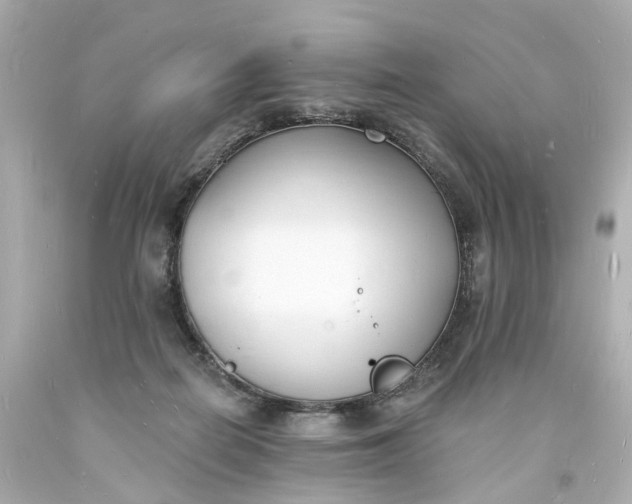 X0000093600266200710291150