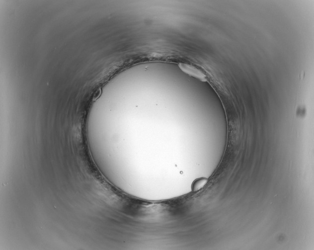 X0000093600269200710291150