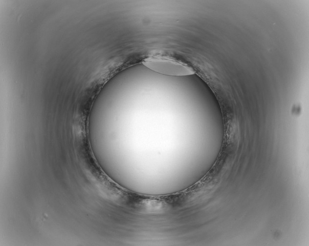 X0000093600272200710291150