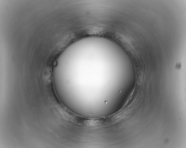 X0000093600273200710291150