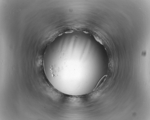 X0000093600284200710291150