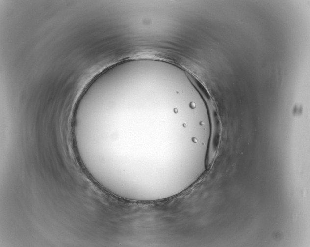 X0000093600289200710291150