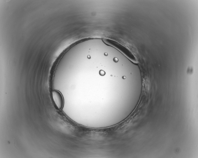 X0000093600292200710291150