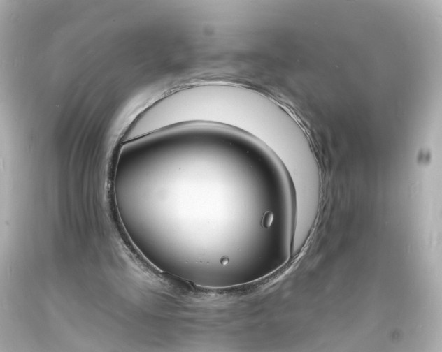 X0000093600293200710291150