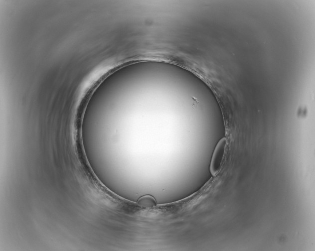 X0000093600294200710291150