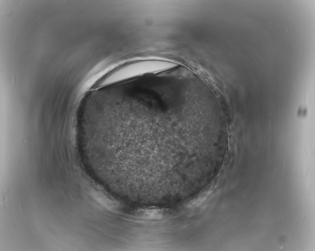 X0000093600295200710291150