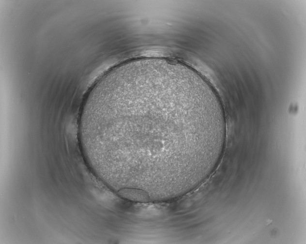 X0000093600297200710291150