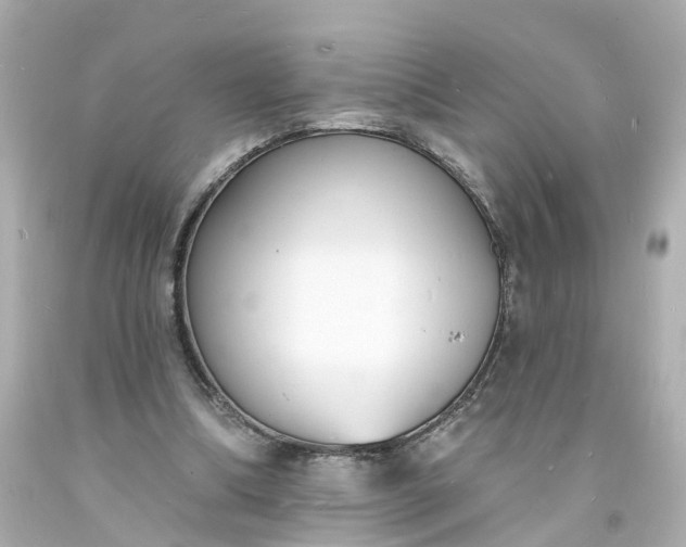 X0000093600298200710291150