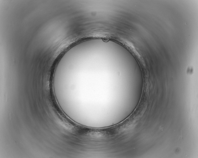 X0000093600299200710291150