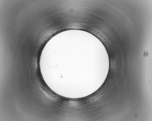 X0000093600302200710291150