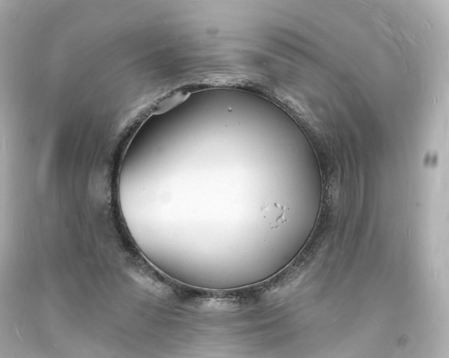 X0000093600303200710291150