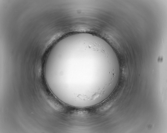 X0000093600304200710291150