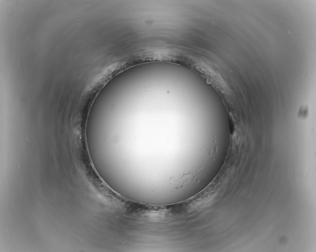 X0000093600306200710291150