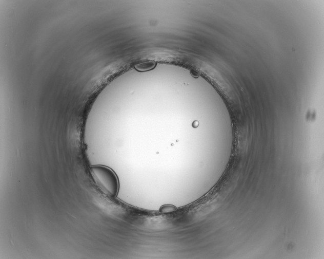 X0000093600309200710291150