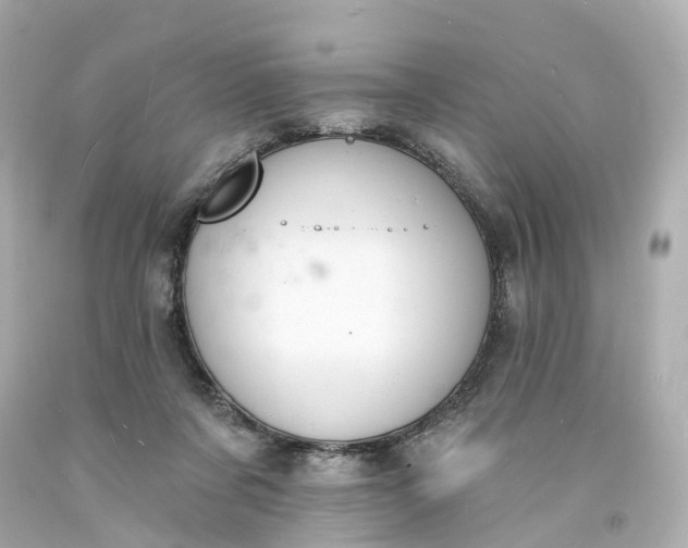 X0000093600311200710291150