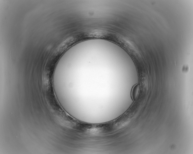 X0000093600312200710291150