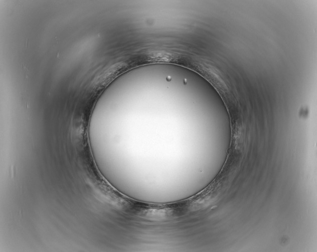 X0000093600314200710291150