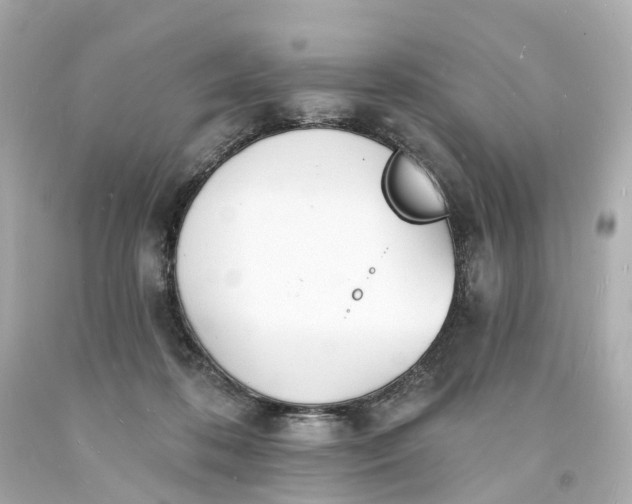 X0000093600316200710291149