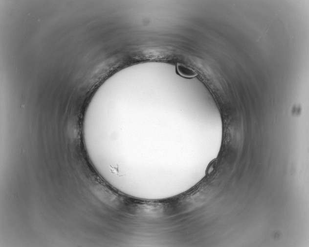 X0000093600317200710291149