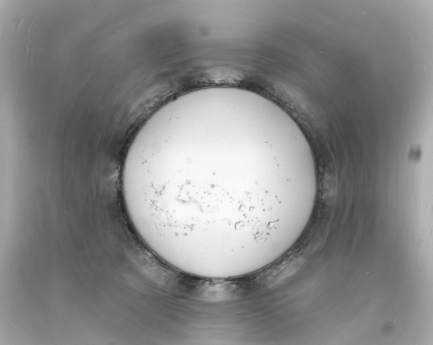 X0000093600321200710291149