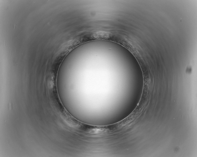 X0000093600323200710291149