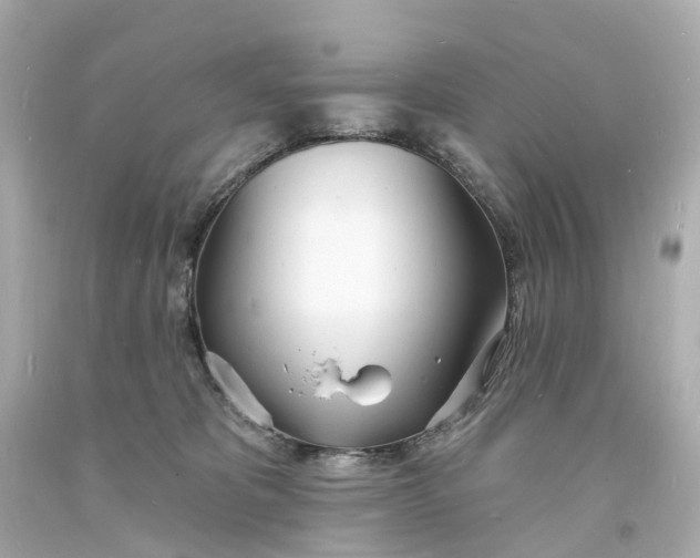 X0000093600325200710291149