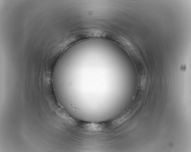 X0000093600326200710291149