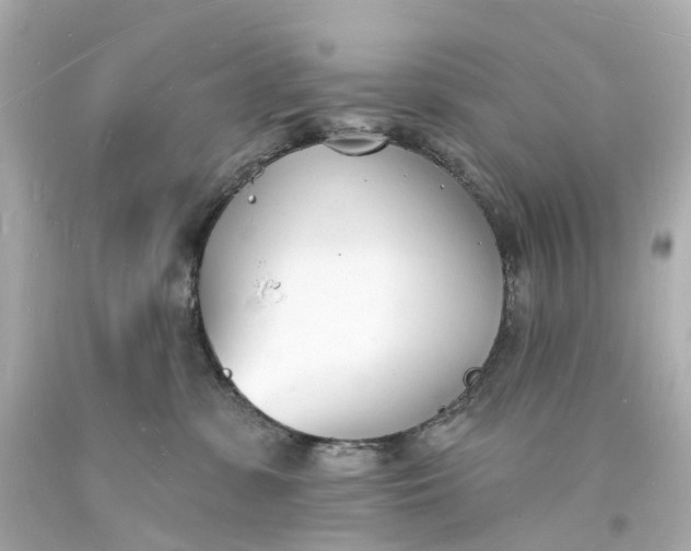 X0000093600331200710291149