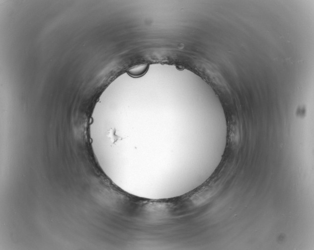 X0000093600332200710291149