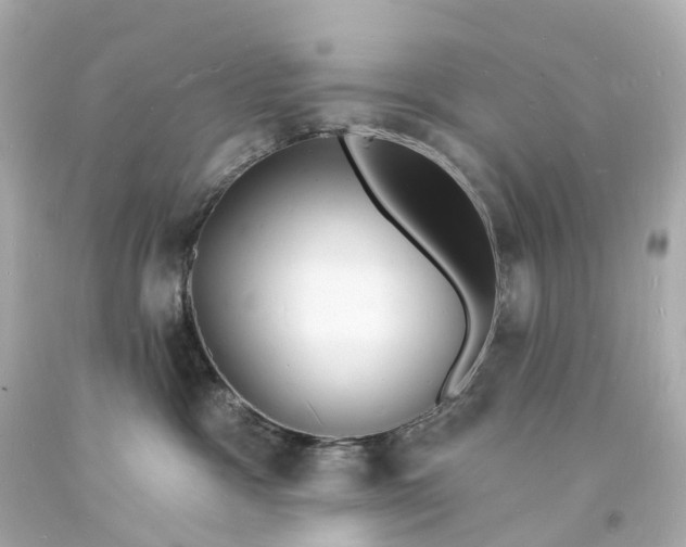 X0000093600333200710291149