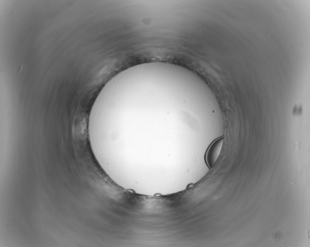 X0000093600336200710291149