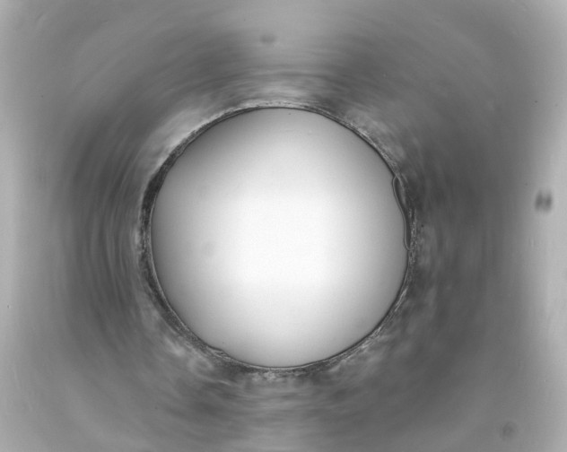 X0000093600338200710291149