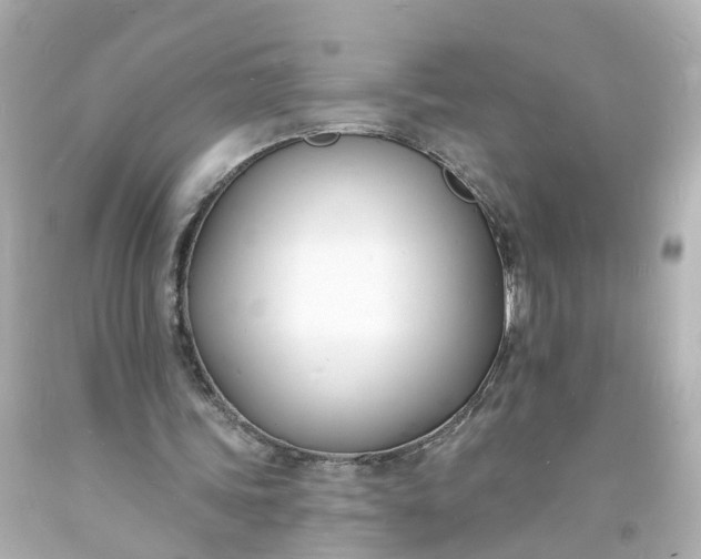 X0000093600339200710291149