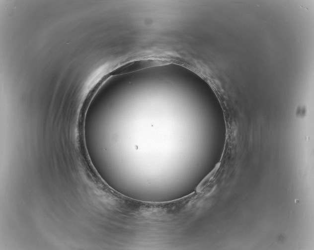 X0000093600340200710291149