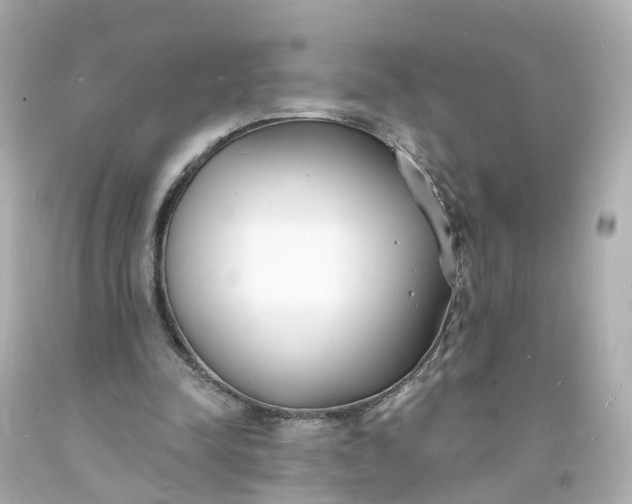 X0000093600342200710291149