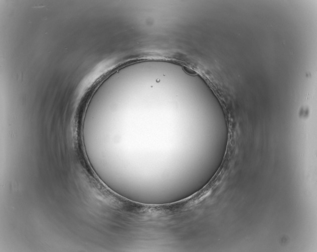 X0000093600343200710291149