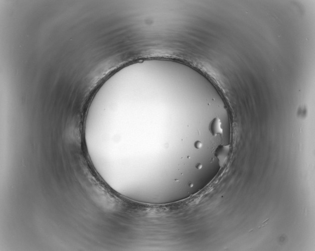 X0000093600345200710291149