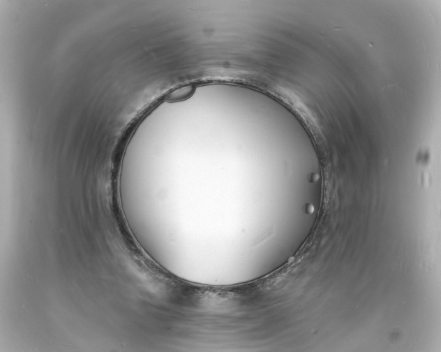 X0000093600346200710291149