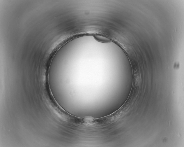 X0000093600350200710291149