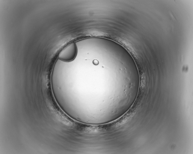 X0000093600351200710291149