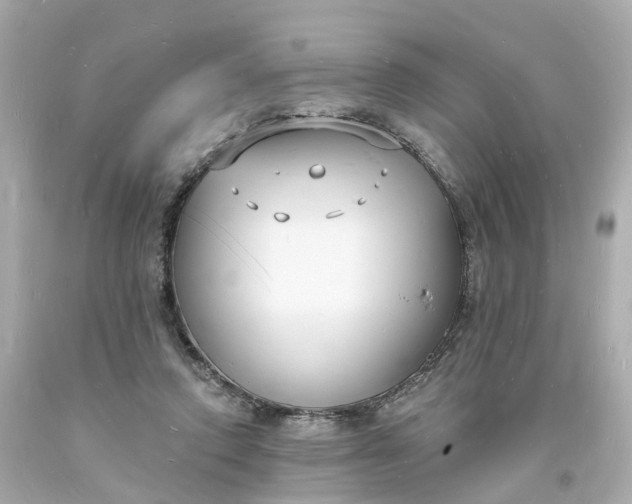 X0000093600354200710291149