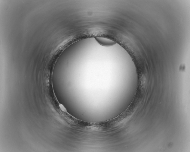 X0000093600356200710291149