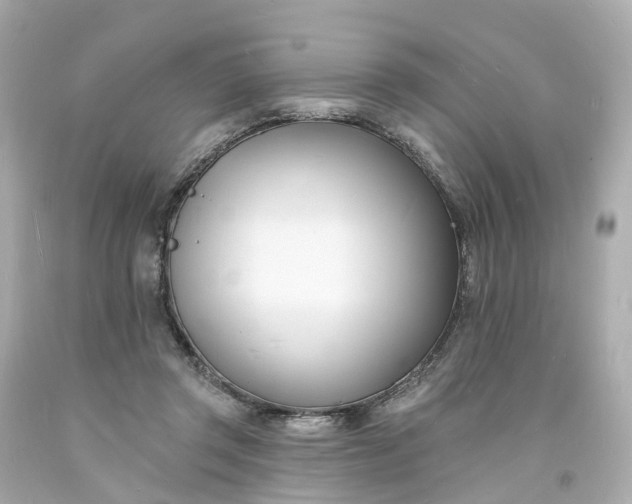 X0000093600357200710291149