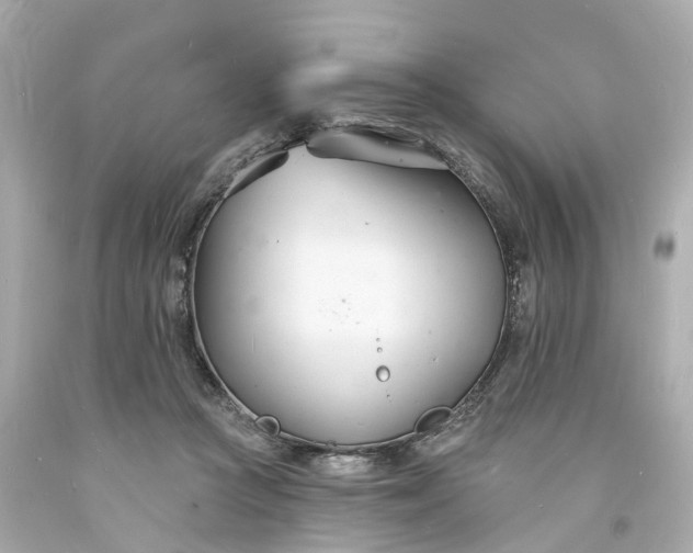 X0000093600361200710291149